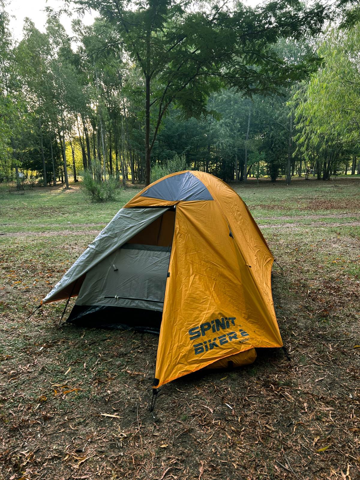 Camping
