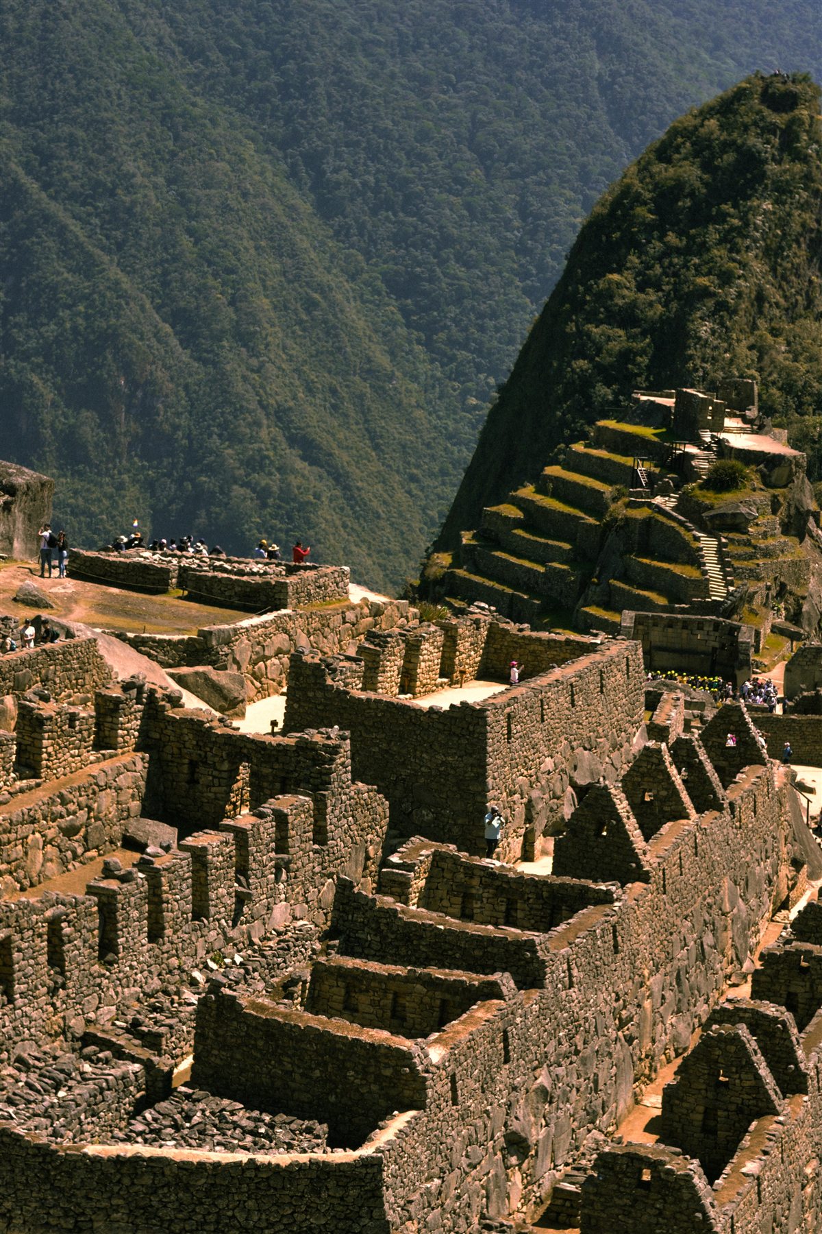 Terrazas de Machu Picchu, Perú