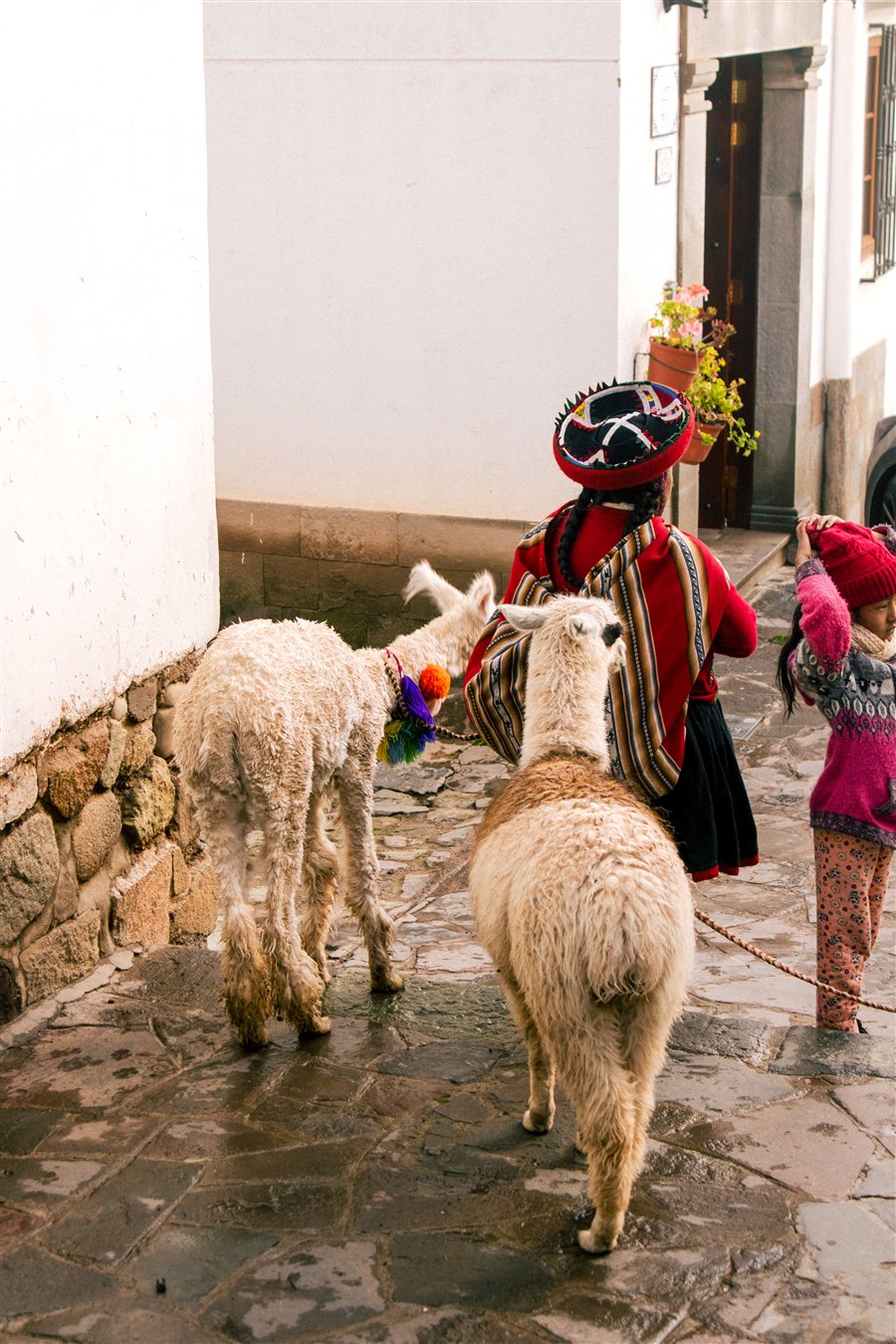 Vida local en una calle de Cusco, parte de la experiencia de un tour