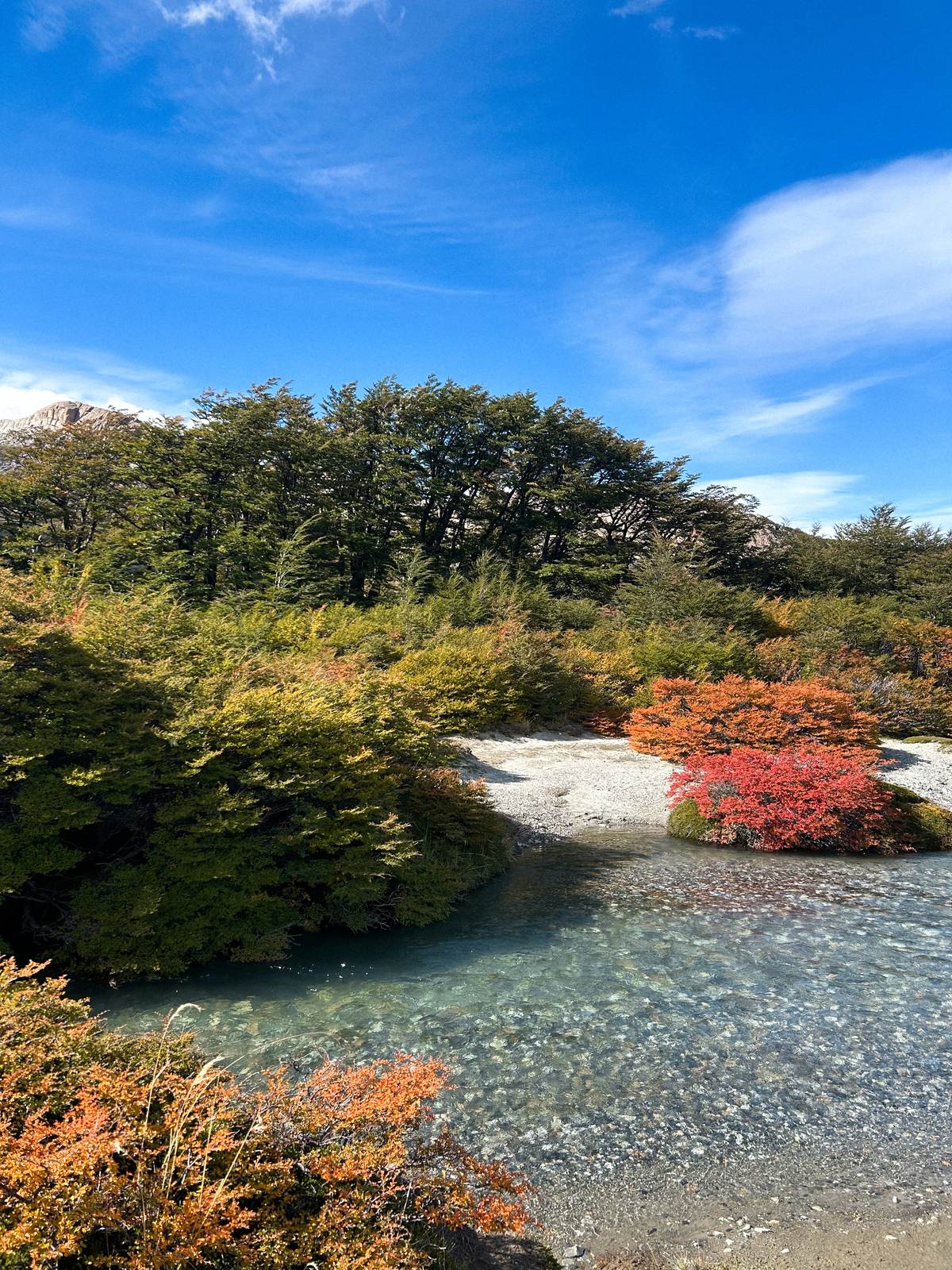 Patagonia